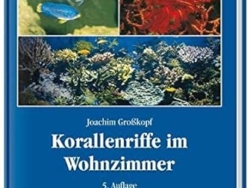 Korallenriffe im Wohnzimmer